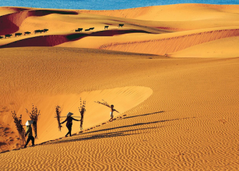 Thị trấn ở Việt Nam được ca ngợi ‘mang lại trải nghiệm đẳng cấp thế giới’