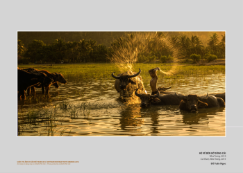 Cuộc Thi Ảnh Di Sản Việt Nam 2025 – Nơi Di Sản Gặp Góc Nhìn Cá Nhân