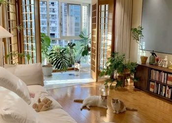 Mua nhà lần đầu: Những sự thật chỉ lộ ra sau 1-2 năm vào ở