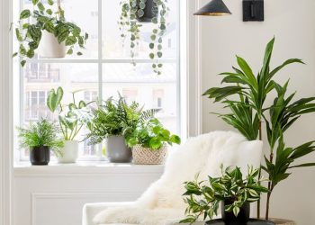 Ông bà dạy: 7 dấu hiệu cho thấy một ngôi nhà có phúc lâu dài, càng ở lâu càng lợi, ai hỏi cũng đừng bán