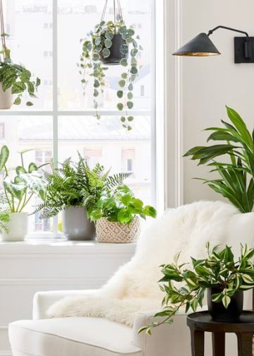 Ông bà dạy: 7 dấu hiệu cho thấy một ngôi nhà có phúc lâu dài, càng ở lâu càng lợi, ai hỏi cũng đừng bán