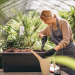 Lợi ích của làm vườn đối với sức khỏe tinh thần