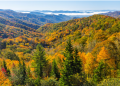 Mọi điều bạn cần biết về Great Smoky Mountains National Park