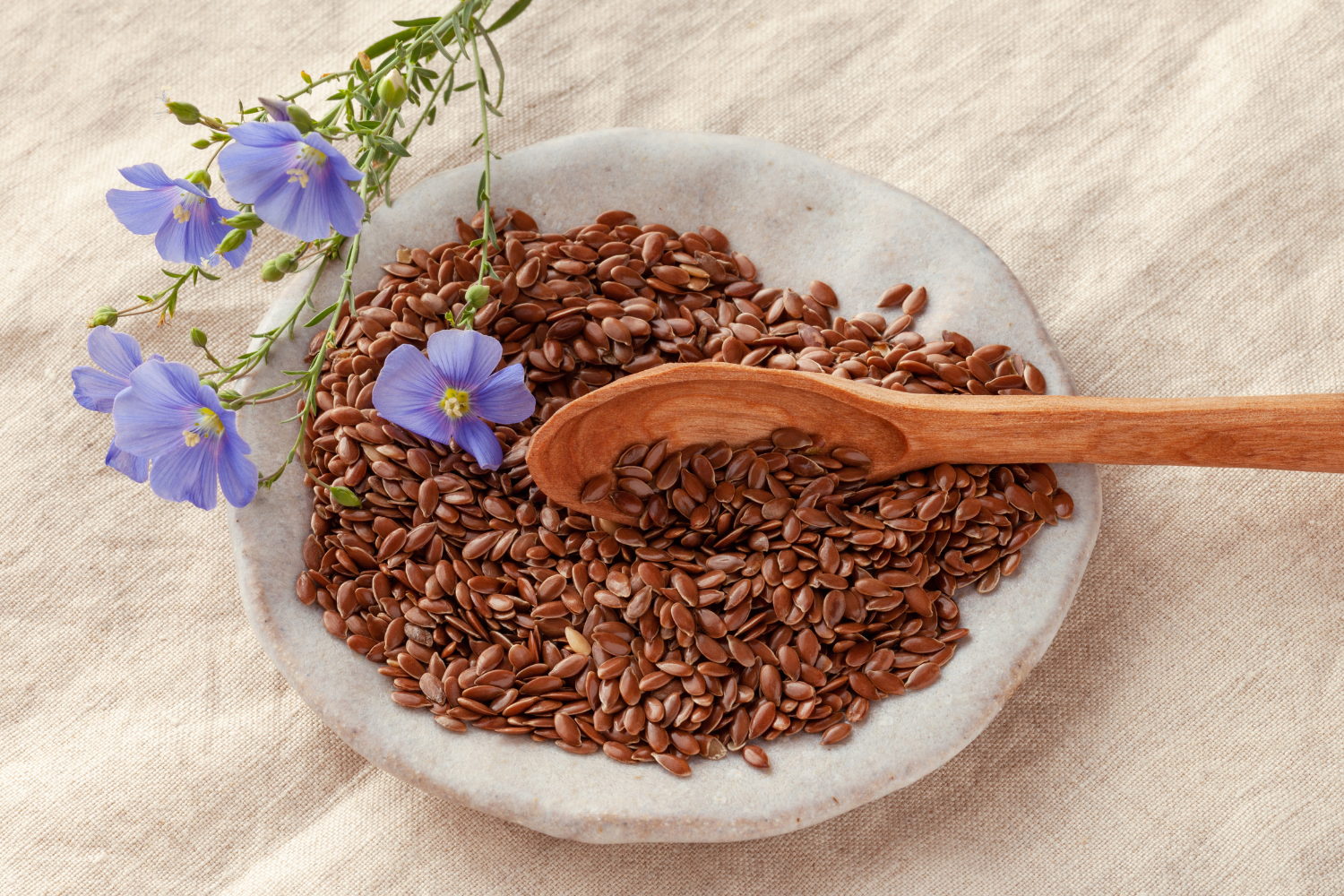 hạt lanh cũng là nguồn cung cấp ALA omega-3 thực vật