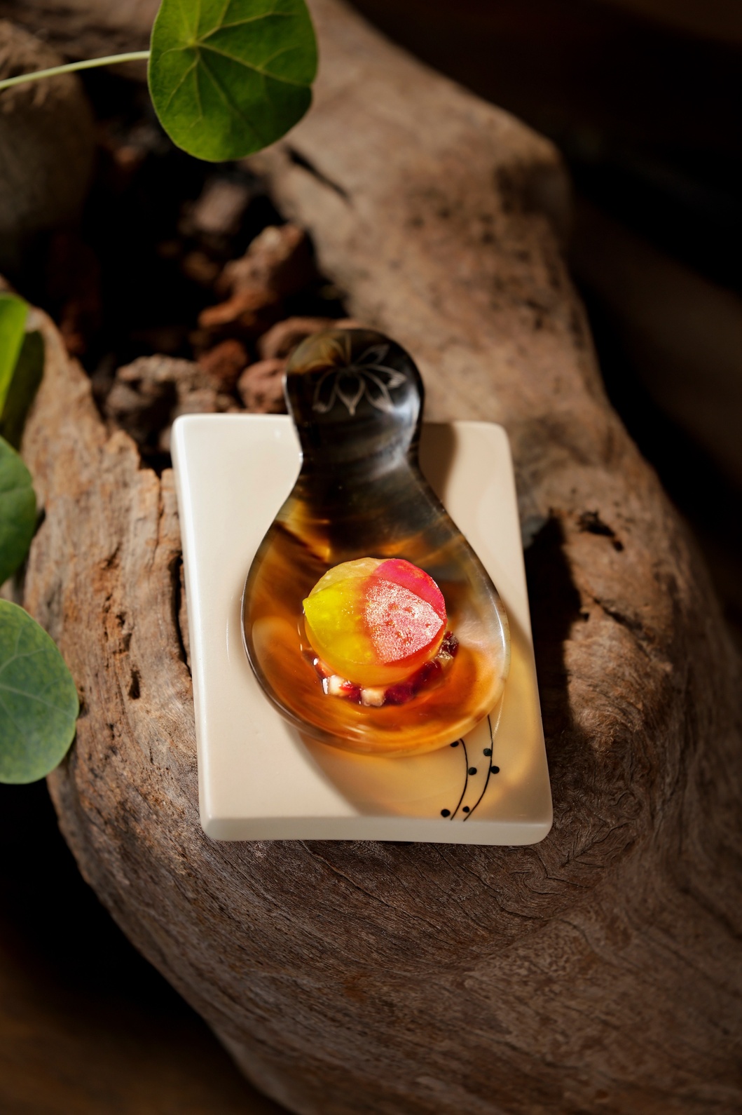 Món Cóc chín Cần Thơ, cà na Đồng Tháp